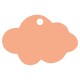 Médaille nuage